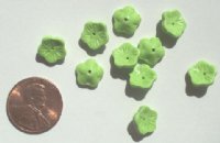 10 10x4mm Carved Howlite Light Green Cupped Flowers